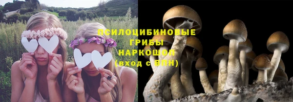 молекула духа Медвежьегорск