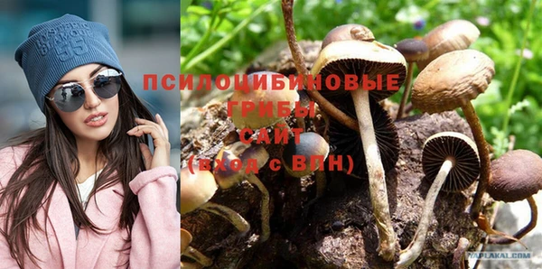 МДПВ Медногорск