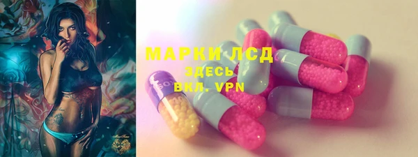 молекула духа Медвежьегорск