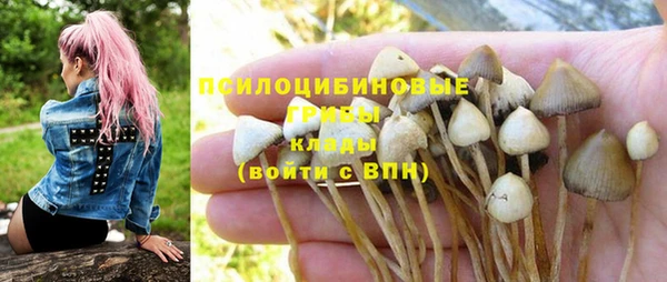 MDMA Premium VHQ Михайловка