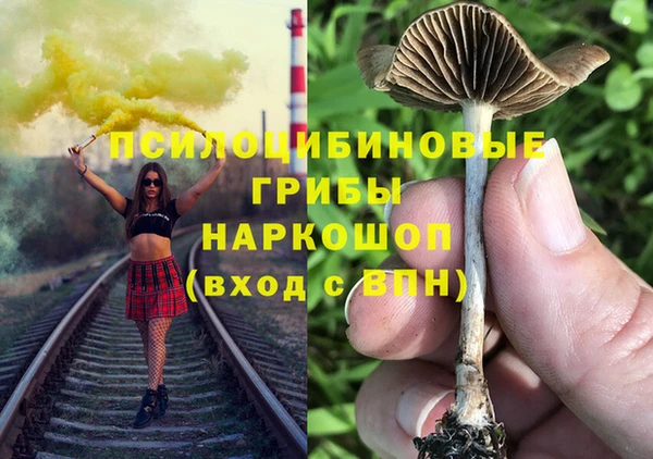2c-b Мегион