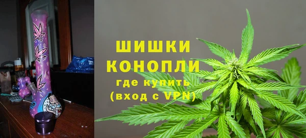 МДПВ Медногорск
