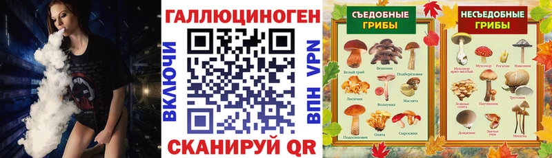 darknet официальный сайт  Иннополис  Псилоцибиновые грибы ЛСД 